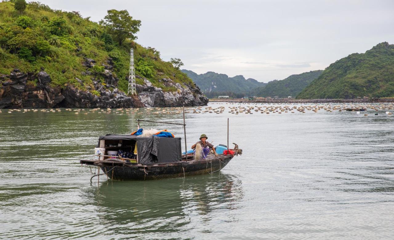 Cat Ong Island Retreat - Catbabay 깟바 외부 사진